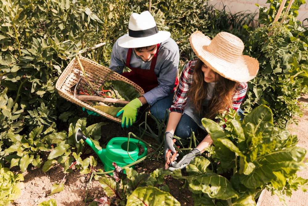 Pratiquant du métier Horticulture