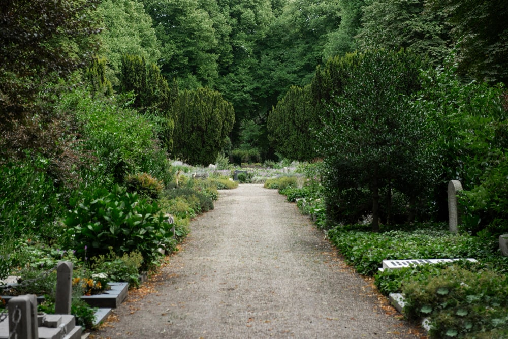 Travail d'un ouvrier en parcs et allées